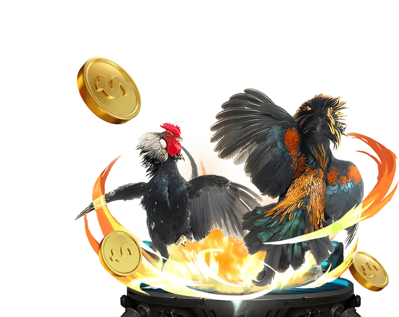 Giới thiệu đá gà trực tuyến 566bet